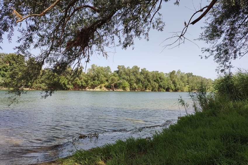 Aldover (Platja Fluvial)