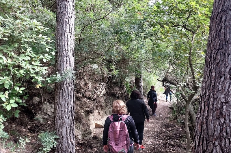 Benifallet (Benifallet)