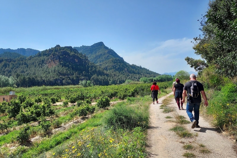 Benifallet (Benifallet)