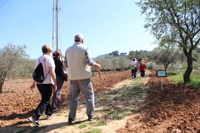 Castellví de Rosanes (Cami Dels Pobres 2)