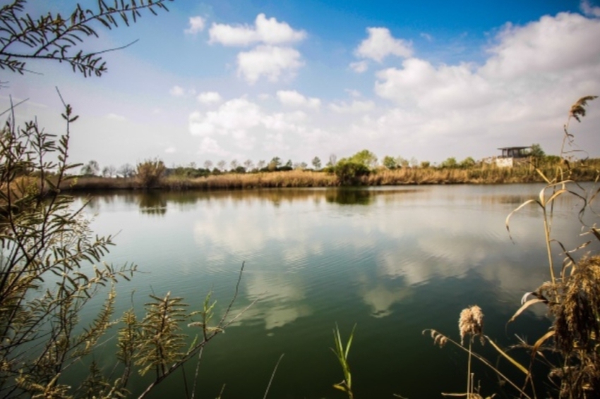 El Prat de Llobregat (Els Espais Naturals Del Riu)