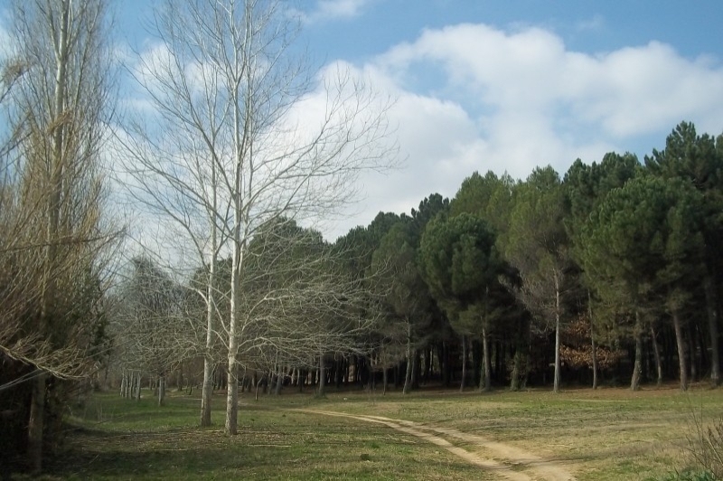 Martorell (Can Cases)