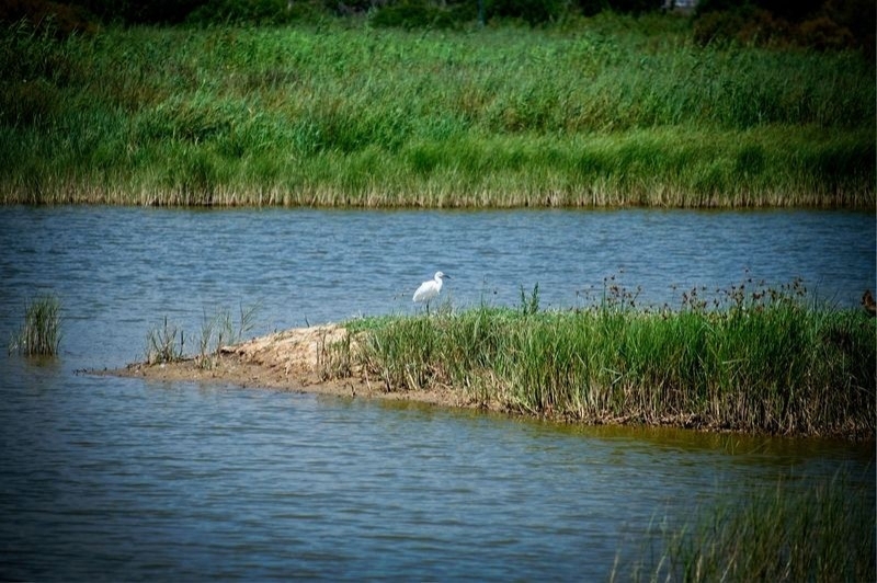 Viladecans (Espai Natural)