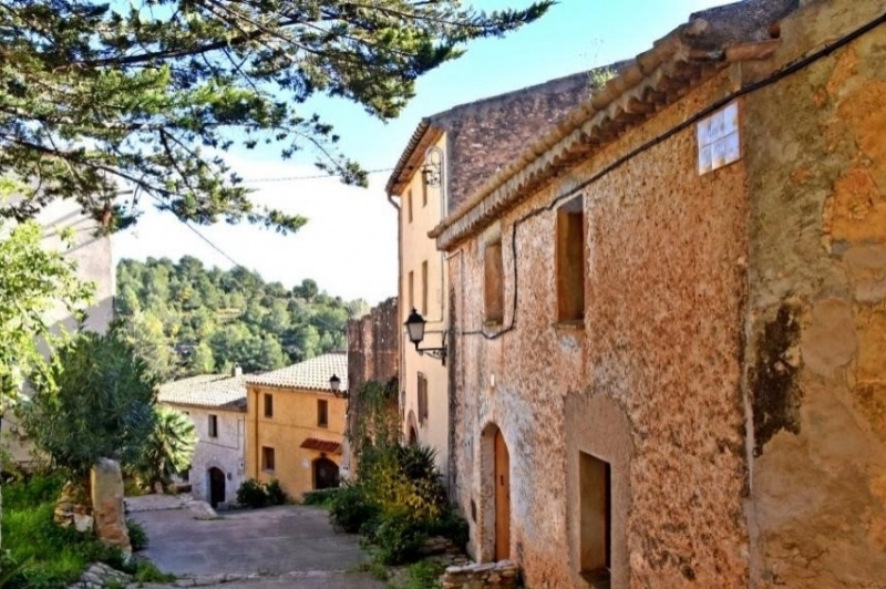 Masllorenç (Masarbonesi.)