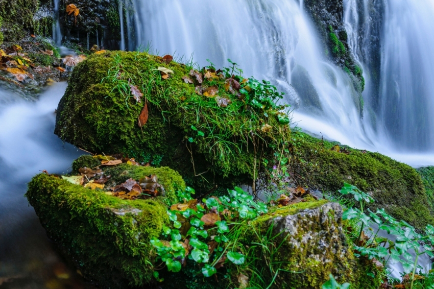 Castellar de nHug (Les Fonts Del Llobregat)