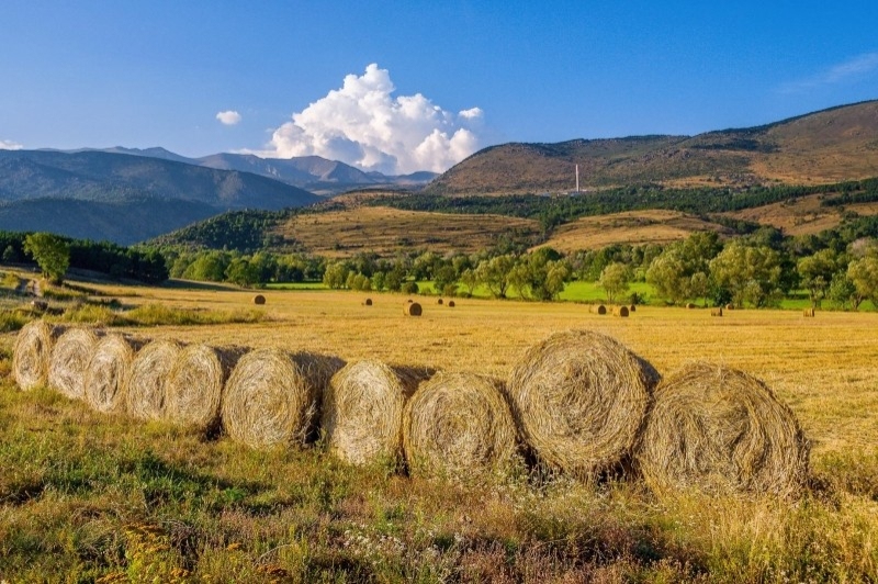 Llívia (Pasisatges)