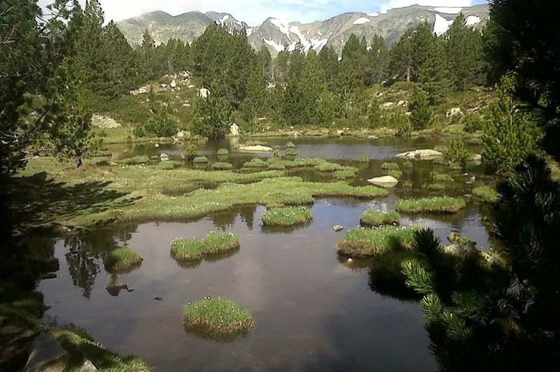 Llívia (Bulloses Galeria1)