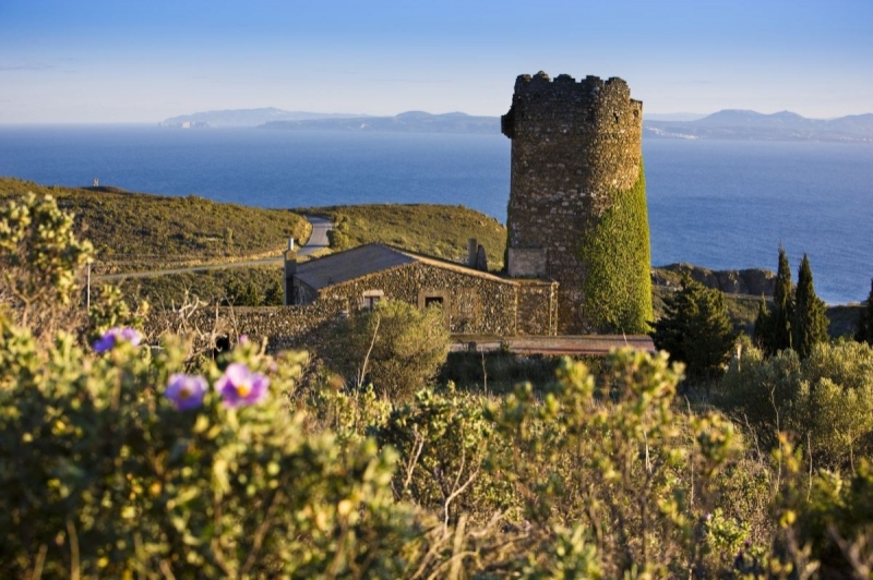 Roses (Torre Del Sastre Roses)
