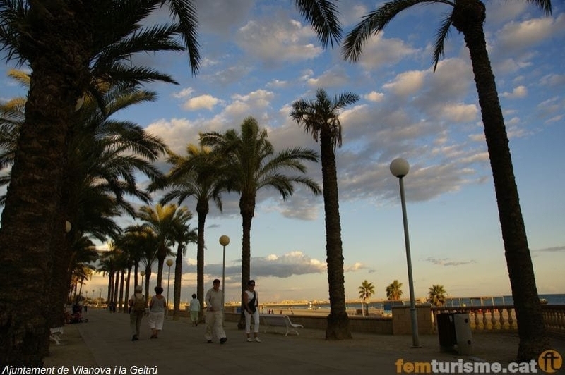 Vilanova i la Geltrú (Asseig De Ribes Roges)