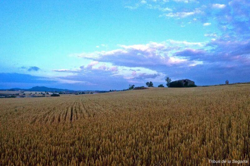 Santa Coloma de Queralt (Vistes)