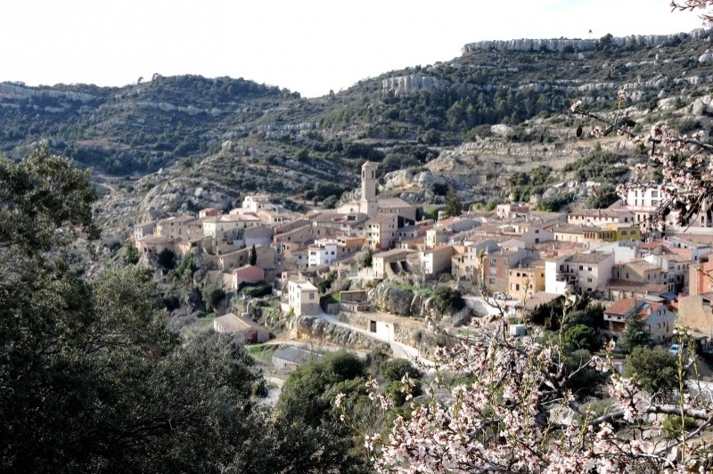 Vilanova de Prades ( Vilanova De Prades Vista Poble)