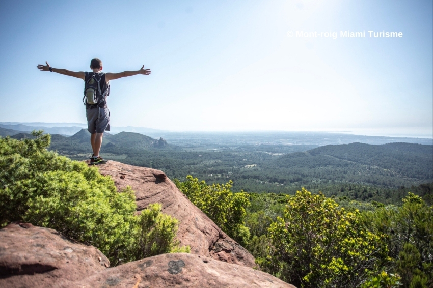 Mont-roig del Camp (Paisatge)