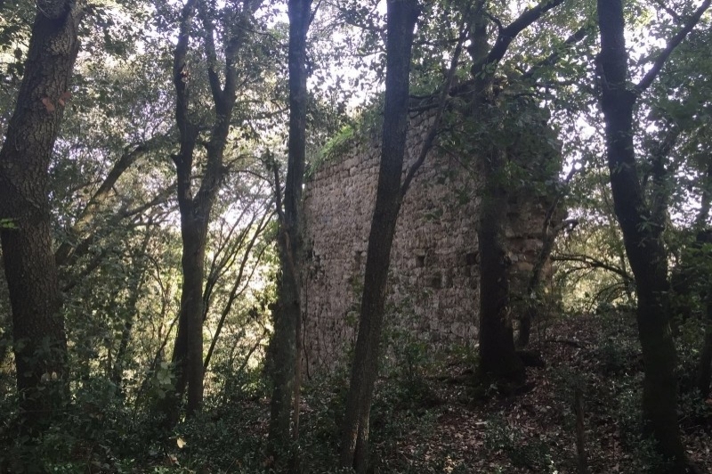 Maià de Montcal (Castell Dosquers Maia)