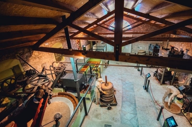 Vandellòs i lHospitalet de lInfant (Moli)