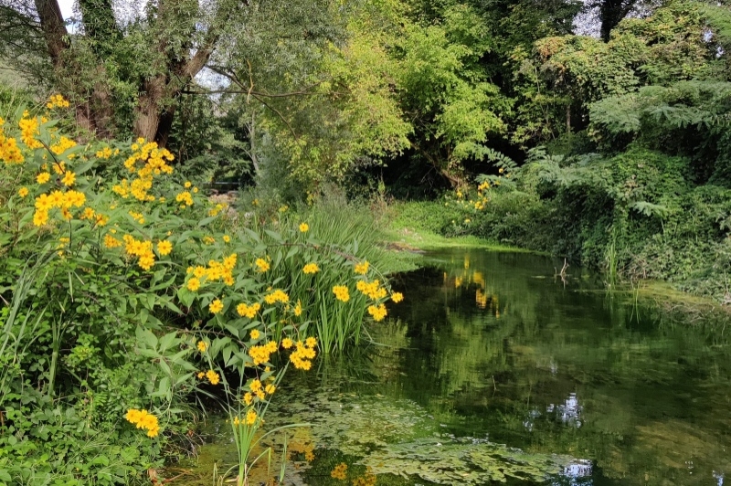 Sant Aniol de Finestres (Sant Esteve De Llemena)