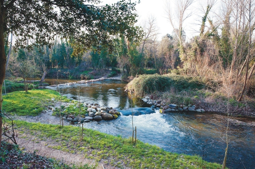 Bescanó (Illa Pilastra)
