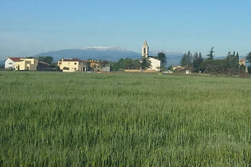 Campllong (Campllong)