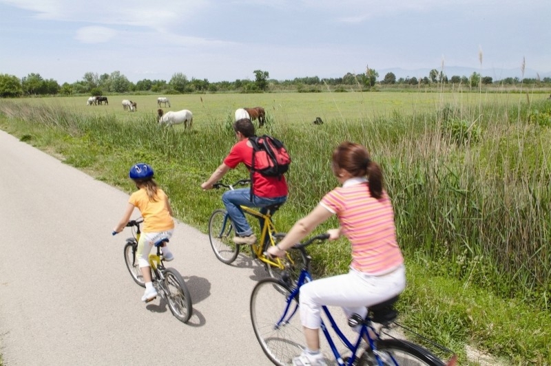 Castelló dEmpúries (Ruta Estanys)