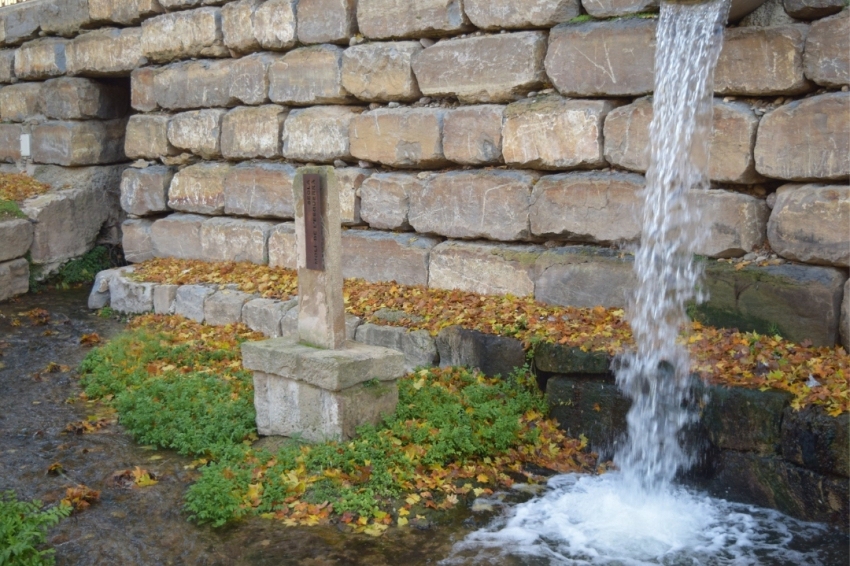 Balaguer (Moli De L Esquerra)