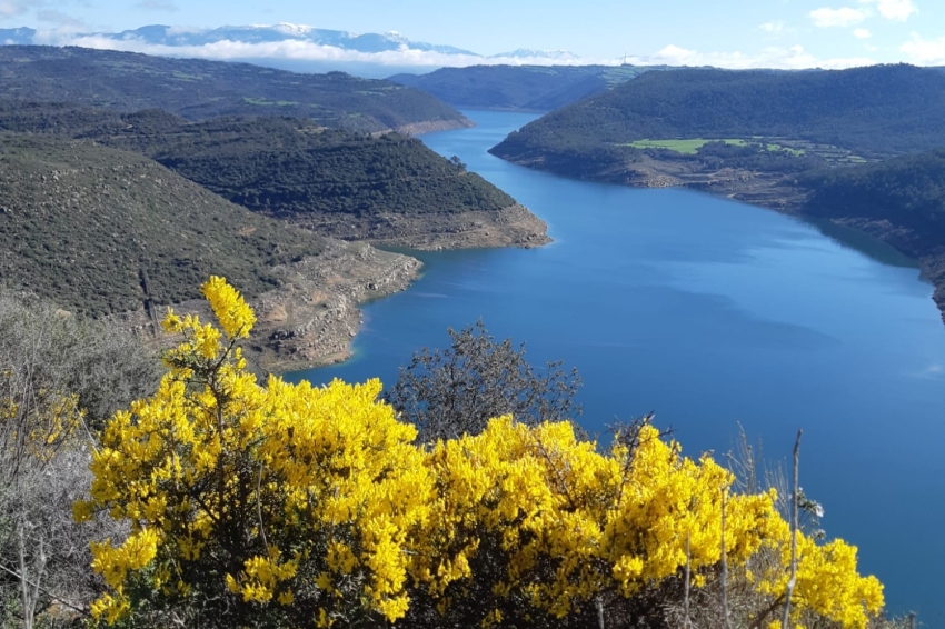 La Baronia de Rialb (Panta De Rialb)