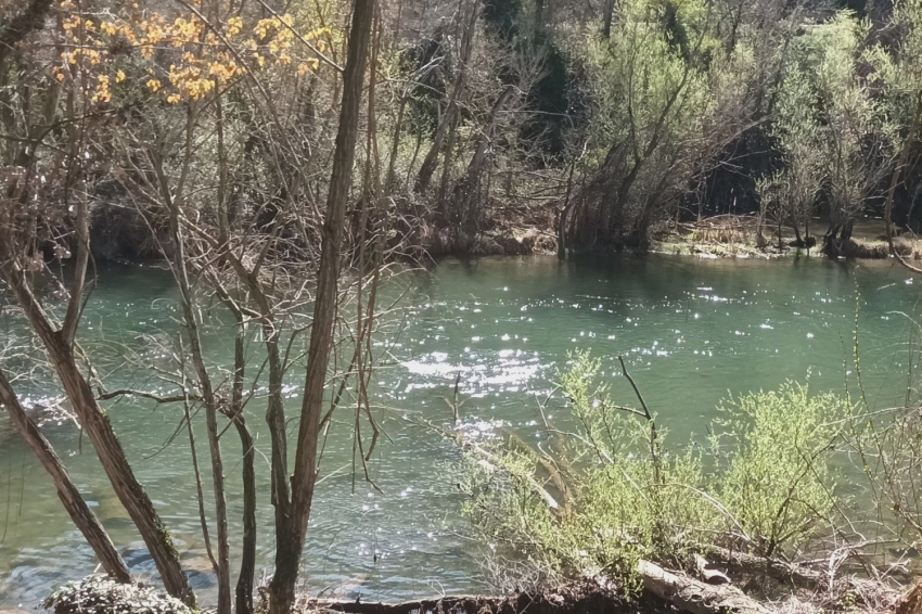 La Baronia de Rialb (Pas Del Segre Per Gualter)