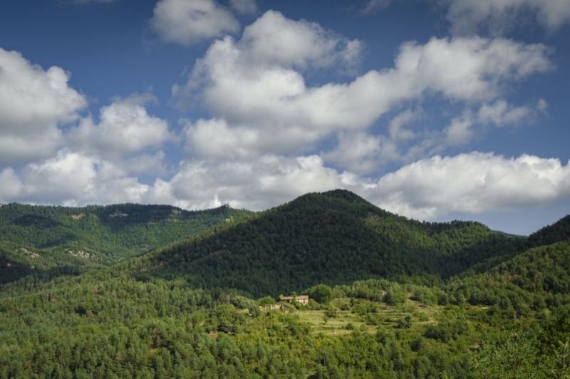 Alpens (Vistes Entre Les Llosses I Alpens)