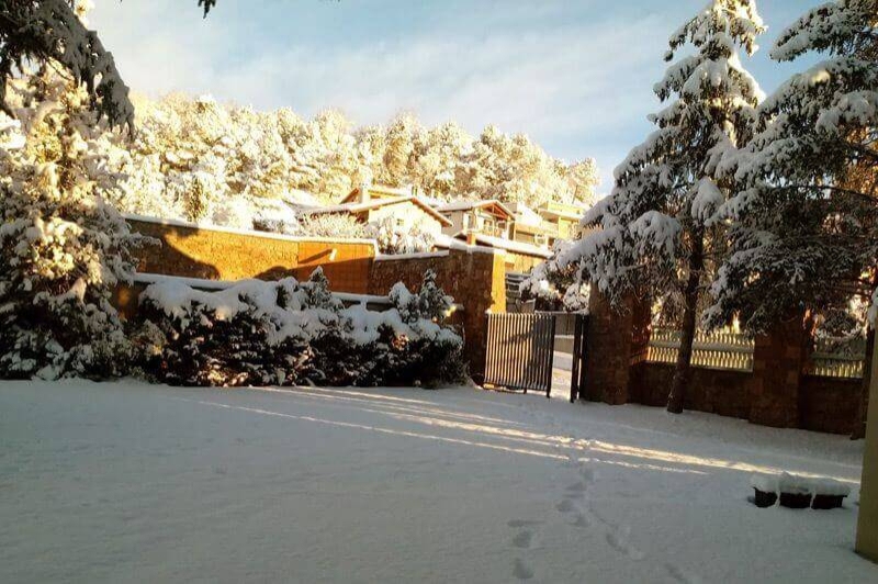 Collsuspina (Nevada)