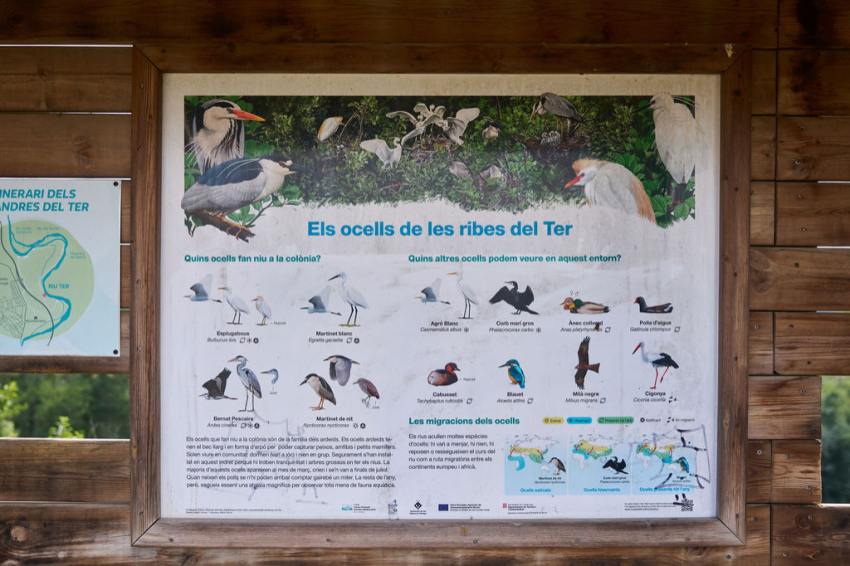 Les Masies de Voltregà ( Les Masies De Voltrega)