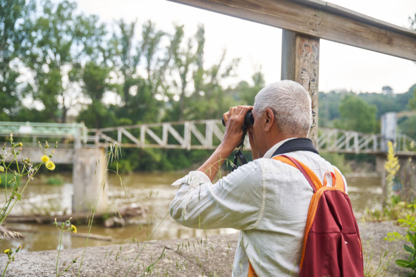 Les Masies de Voltregà ( Les Masies De Voltrega)