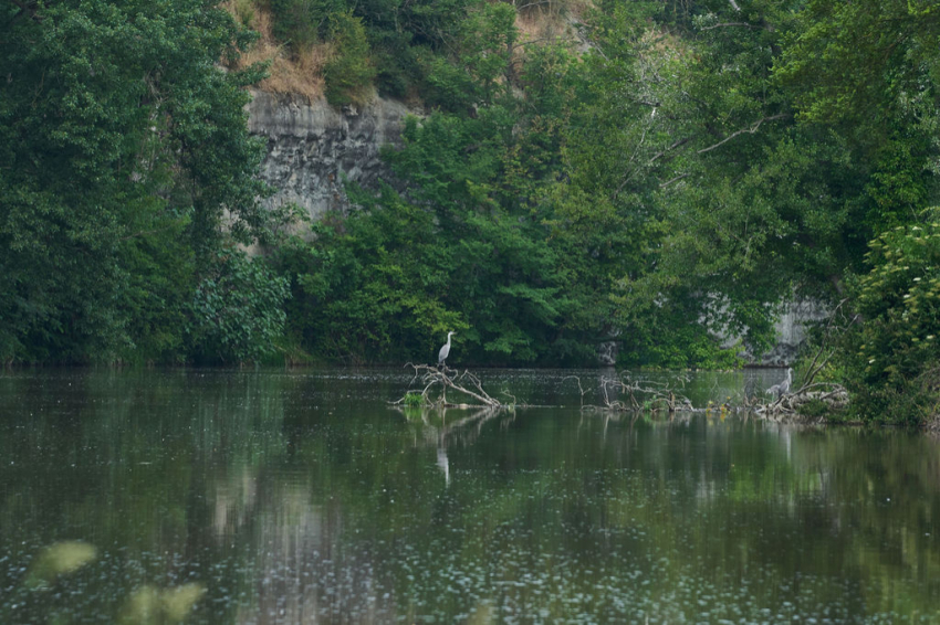 Les Masies de Voltregà ( Les Masies De Voltrega)