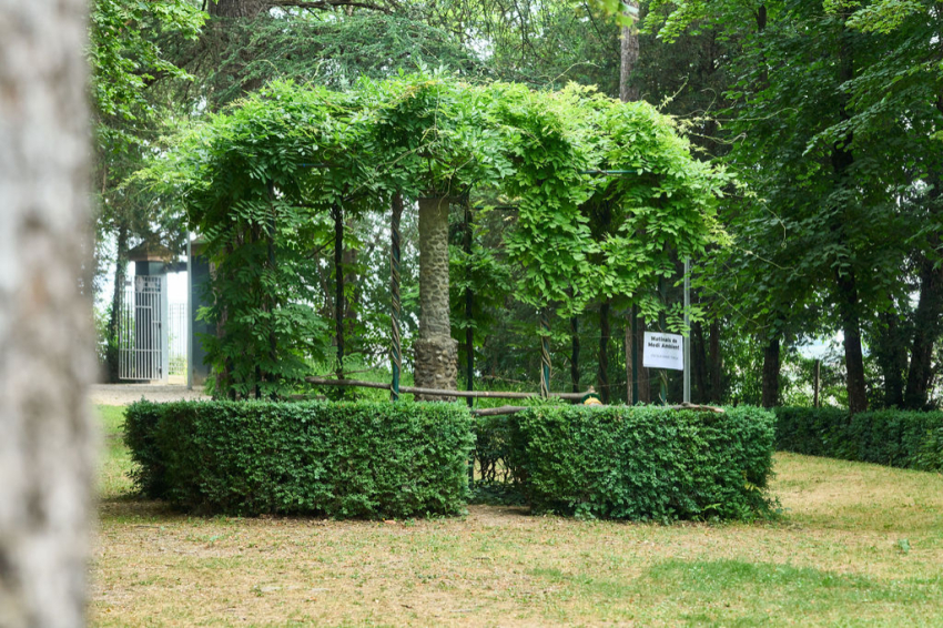 Les Masies de Voltregà (Les Masies De Voltrega)