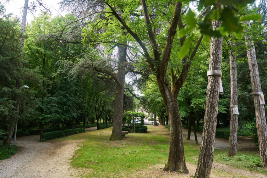 Les Masies de Voltregà (Les Masies De Voltrega)