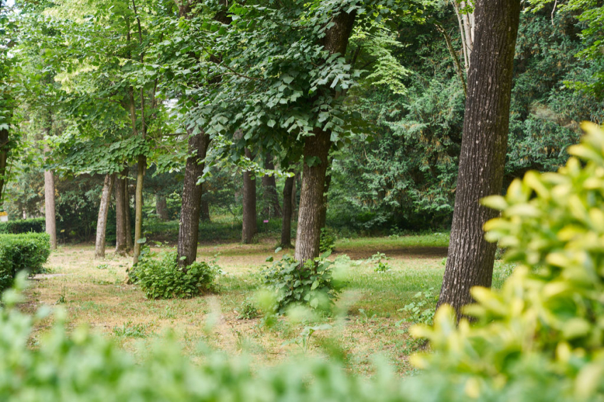 Les Masies de Voltregà (Les Masies De Voltrega)