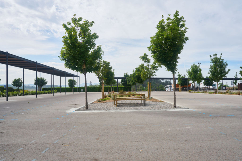 Les Masies de Voltregà (Les Masies De Voltrega)