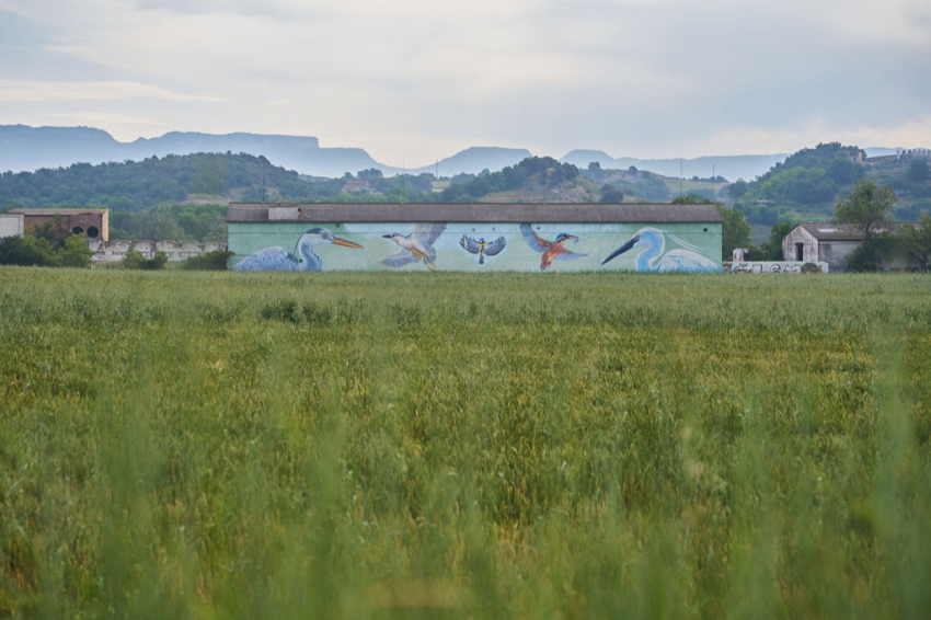 Les Masies de Voltregà (Les Masies De Voltrega)