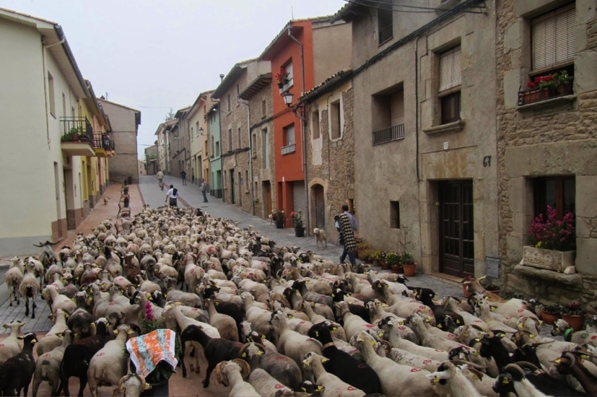 Lluçà (Transhumancia)