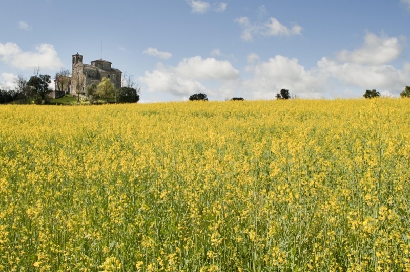 Prats de Lluçanès (Sant Sebastia)