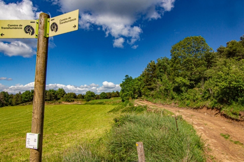 Sant Agustí de Lluçanès (Passejada Voltants L Alou)