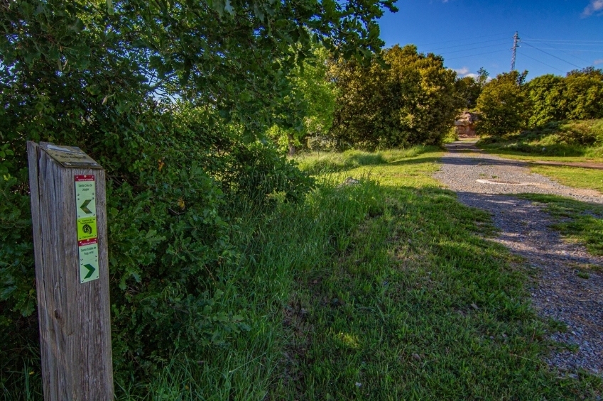 Sant Martí dAlbars (Diseno Sin Titulo 2023 06 13T092701.905_)