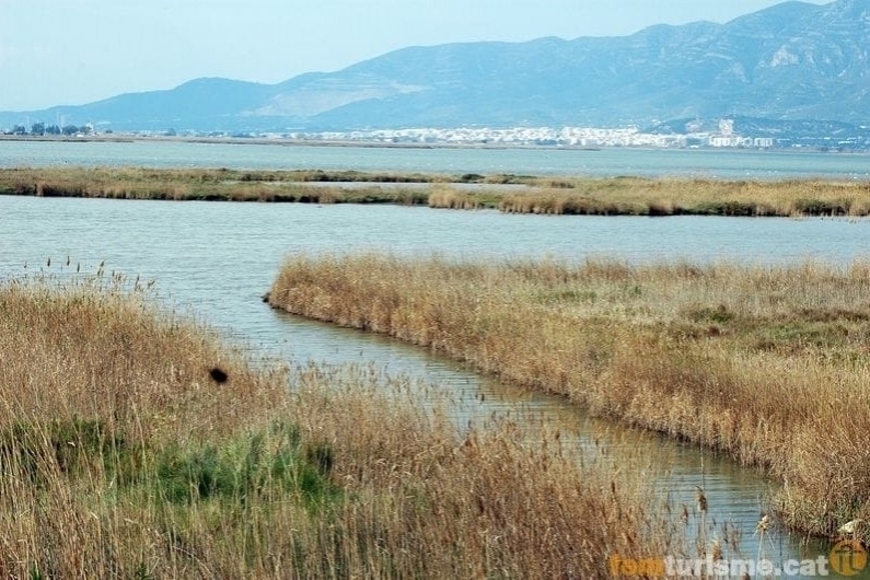 Amposta (Delta De Lebre)