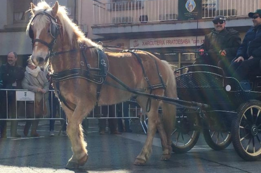 Santa Eugènia de Berga ( Tonis Festa)