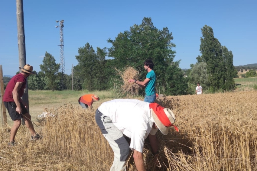 Santa Eugènia de Berga ( Festa Del Segar)
