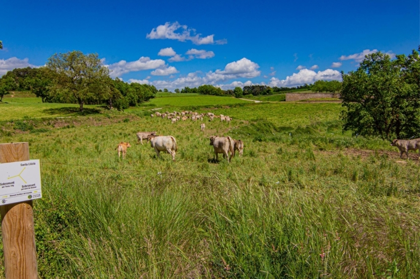 Sobremunt (Ruta Santa Llucia)