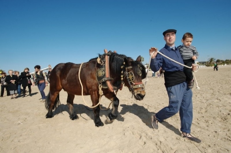 Torredembarra (Activitat)
