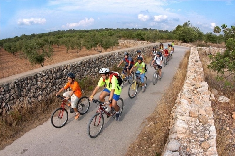 Torredembarra (Torredembarra)