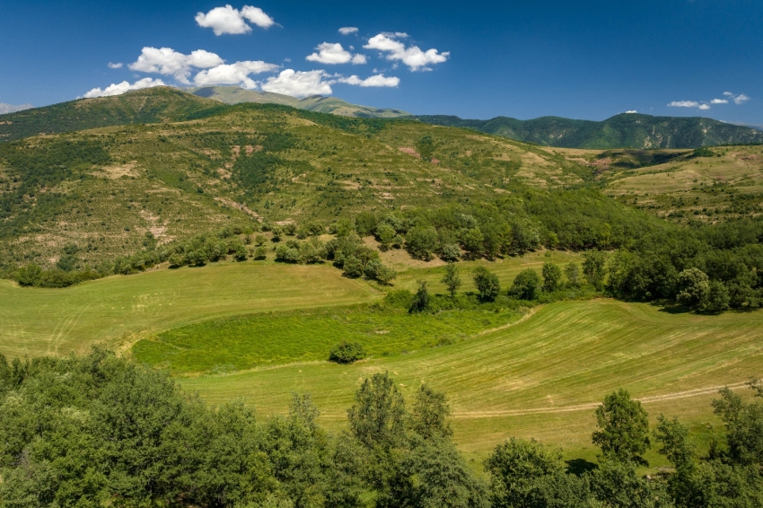 Baix Pallars (Baix Pallars 43)