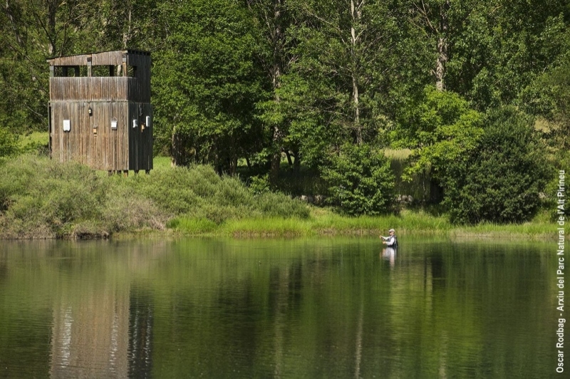 La Guingueta dÀneu (La Guingueta)