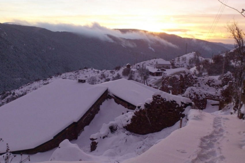 Soriguera (Soriguera Nevat)