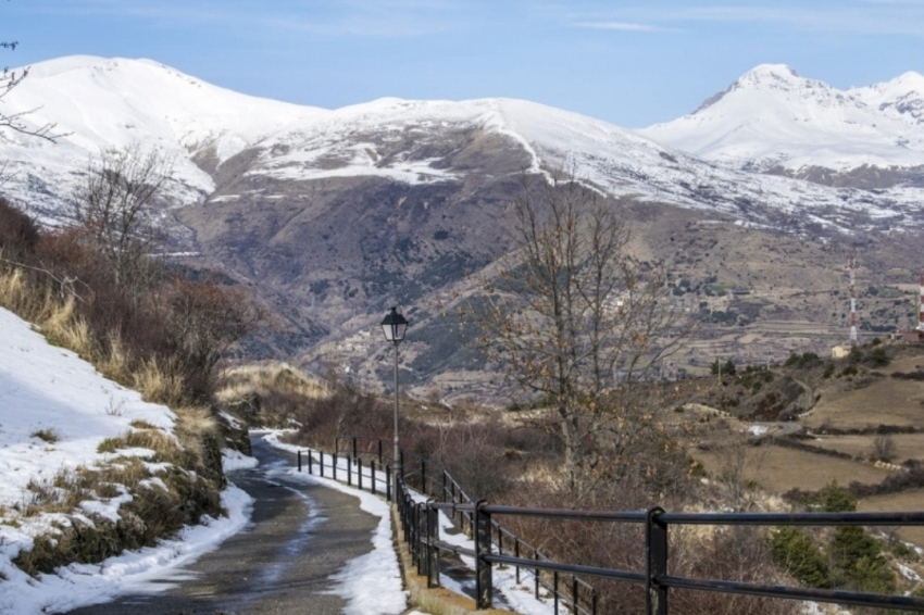 Soriguera (Soriguera Muntanyes Nevat)
