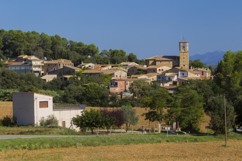 Vilademuls (Galliners)